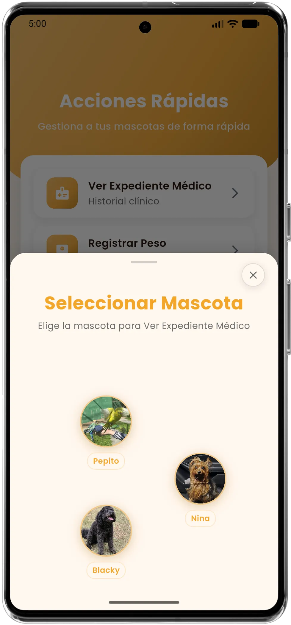 Selector de mascota QuickyTail